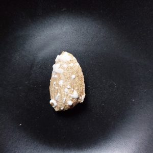 بادام منقا شور