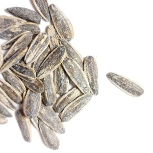 تخمه آفتابگردان خام